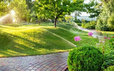 Manutenzione giardino condominiale e servizi di giardinaggio Roma: perché conviene rivolgersi a un esperto?